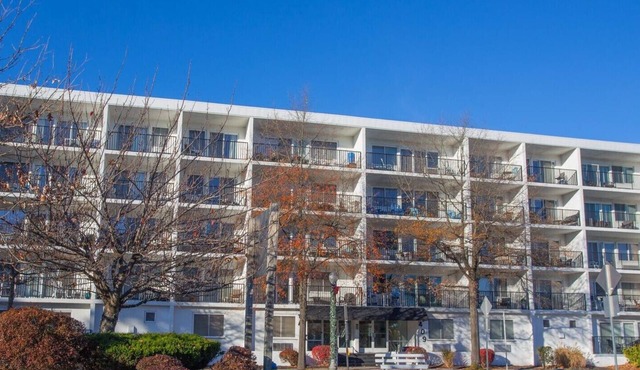 ADORABLE AND SPACIOUS 2 BR, 2 BA CONDO . ON REHOBOTH AVE - 18 THE ARK