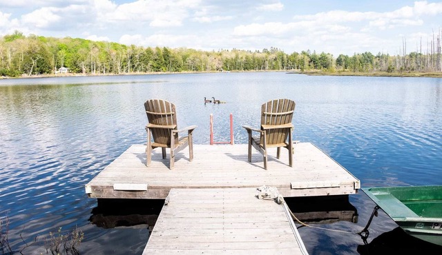 Amber Lake Studio - Stylish Lakefront