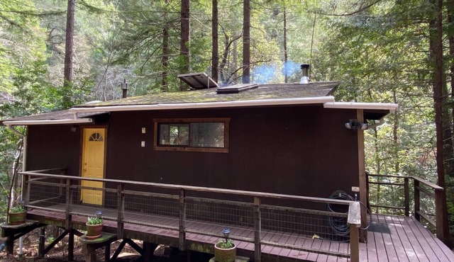 Bear Creek Cabin 100% Secluded Disinfected Refuge
