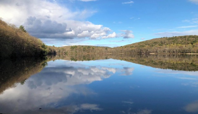 Berkshires' best! Tanglewood, Jacob's Pillow and 400 feet from a pristine lake