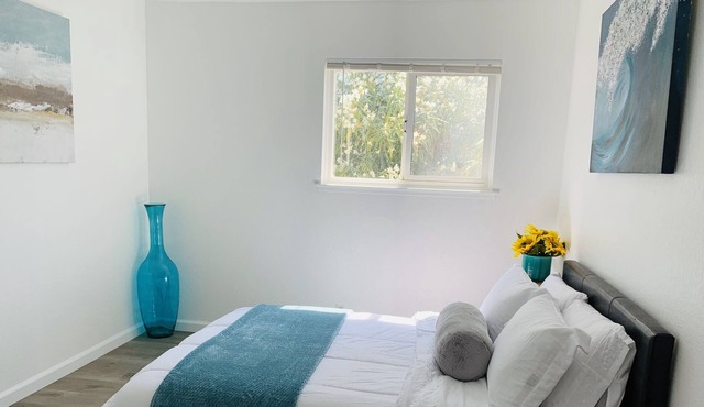 Bright Private In-law 1 bedroom unit in San Leandro hills w/ Washer&Dryer