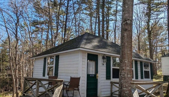Cabin surrounded by Lustrous Pine trees Cabin 14