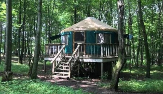 Catskills Luxury Yurt - Awesome Glamping experience near Oneonta & Cooperstown