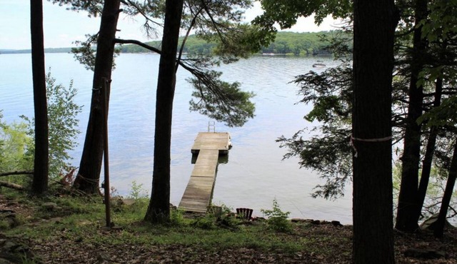 Charming Lakefront Cabin with private dock - kid and pet friendly!