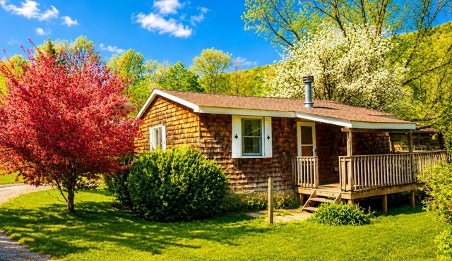 Cold Spring Lodge - Cabin 4