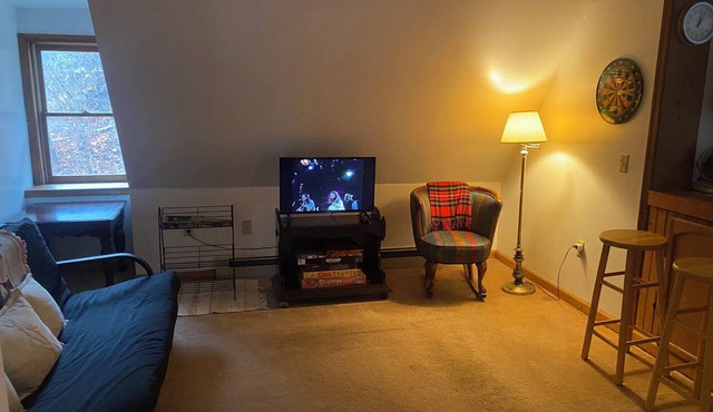 Cozy 1-bedroom apartment with AC, WiFi in charming Port Jervis