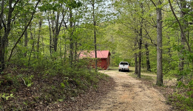 Cozy Cabin across the street from the Arkansas Grand Canyon on Hwy 7