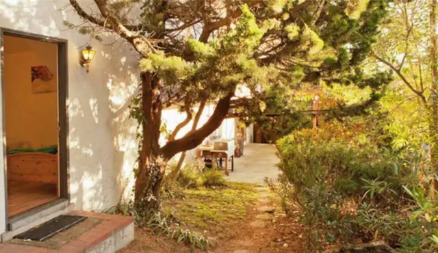 Cozy Studio in North Berkeley Hills