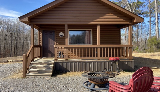 Cub Cabin has Star Gazing for Outdoor Lovers. No Pets Allowed