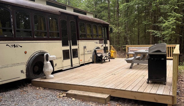 Dog friendly trolley with Peanuts Theme