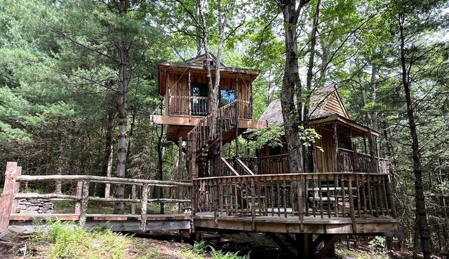 Eco-Friendly, Abstract Treehouse Surrounded by Wildlife and Hiking Trails For a Special Getaway in Sparrow Bush, New York