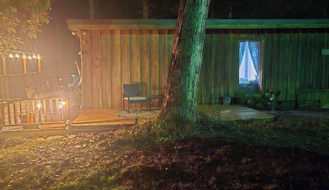 Enjoy this Relaxing, peaceful Cabin by the woods just 2 miles from sardis lake!