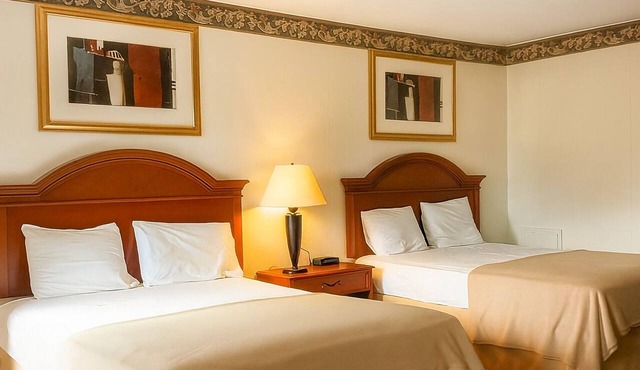 Enjoyable Stay For Sure! 4 Relaxing Units w/FREE Breakfast, Swimming Pool! in Palmyra