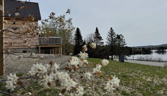 First Lake Lodge! Trails, Fishing, Boating & Unforgettable 1st Conn Lake Views