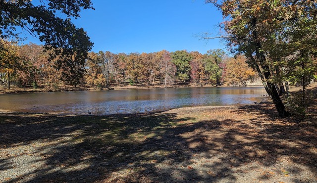 Great Hide away that is light bright Safe and Cozy. Close to all. New amenities.