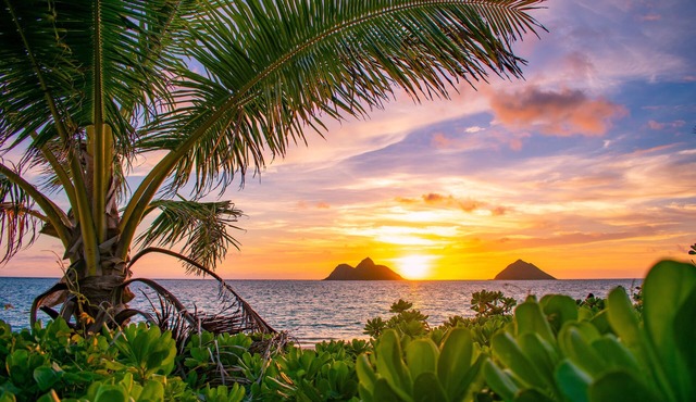 Hale Alapi'i Lanikai Getaway by Gather: Newly Renovated Near Beach & Hiking