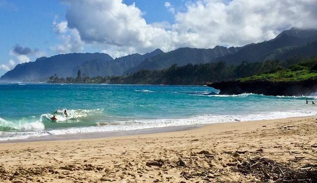 Kama'aina Haven: Beachside Estate w/Private Pool. Sleeps up to 12 Guests!