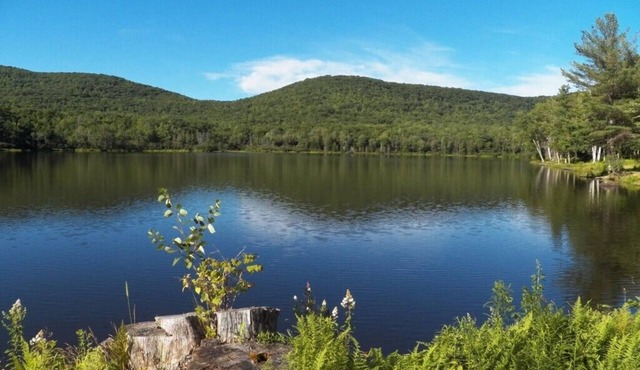 Lake view Cabin on Lake Heloise
