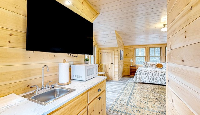 Lakefront, dog-friendly studio with firepit and lake & mountain views