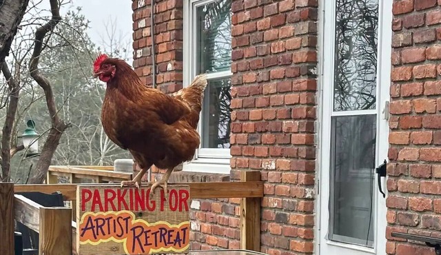 Magic Forest Farm's Artist Retreat