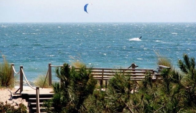 Oceanfront, Master Ste, New deck, Remodeled, Dune deck, Media Rm, Private garden