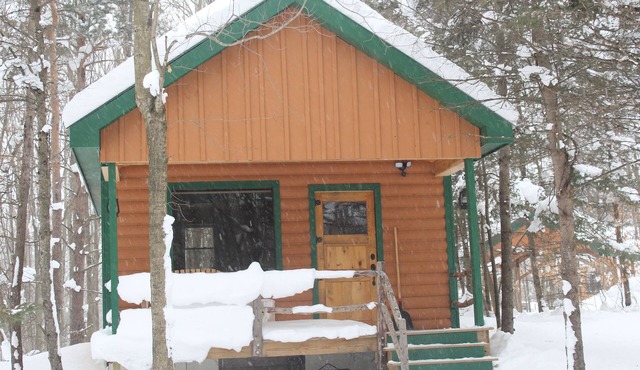 Off-Grid Cozy 2-bedroom cabin in fabulous Adams Center with AC