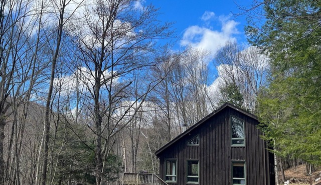 Private Berkshire Cabin on 27acres near Jiminy Peak.
