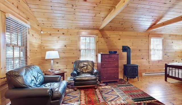 Quaint studio cabin near hiking trails with gym & pool table - dog-friendly