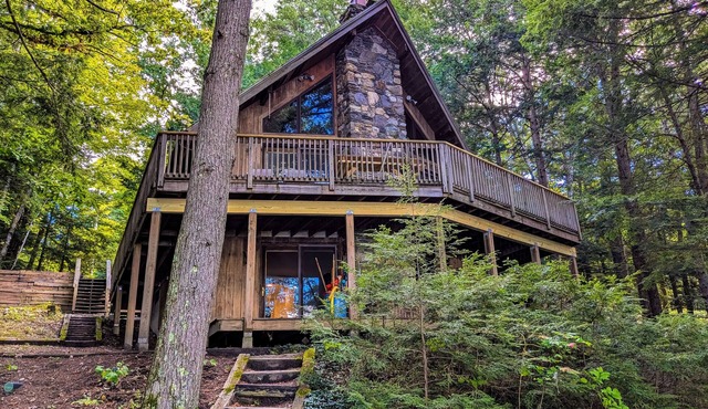 Quintessential lakefront cabin with canoe, grill, wood-burning fireplace, & AC