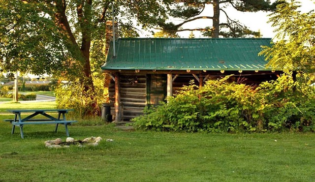 Rustic Cabin Overlooking the Beautiful Seneca Lake in New York