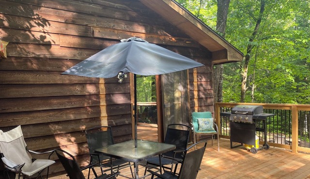 Rustic Private Cabin In Trent Lakes in Kinmount