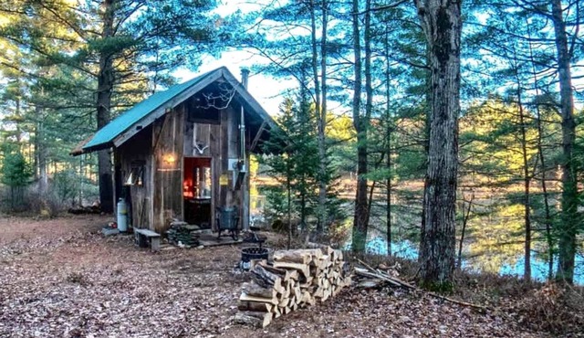 Secluded and Off-Grid, Pet Friendly Cabin on Private Pond in Glenfield, New York