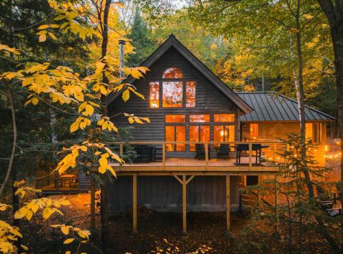 Secluded Cabin with Private Trails