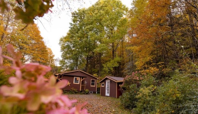 Secluded Catskills Mtn Cabin steps from River