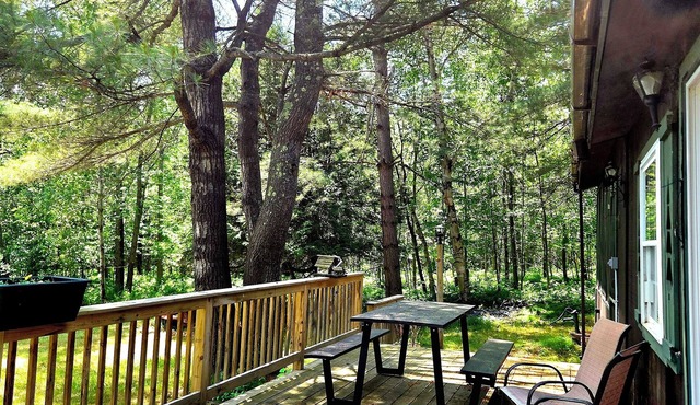 Secluded & quiet, close to town. Stone fireplace inside & a firepit out back