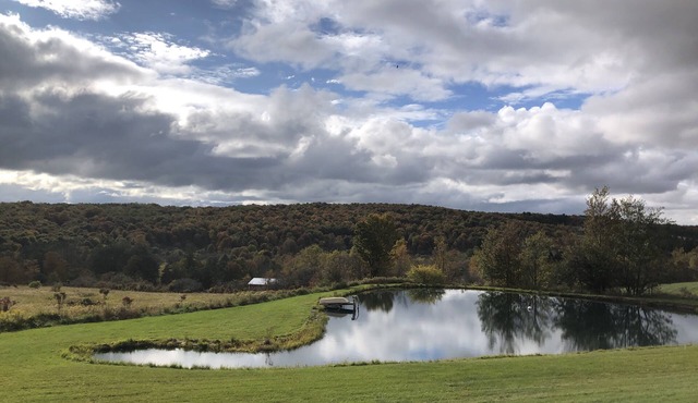 Secluded studio with lake view & fire pit for upstate getaway. Near Cooperstown