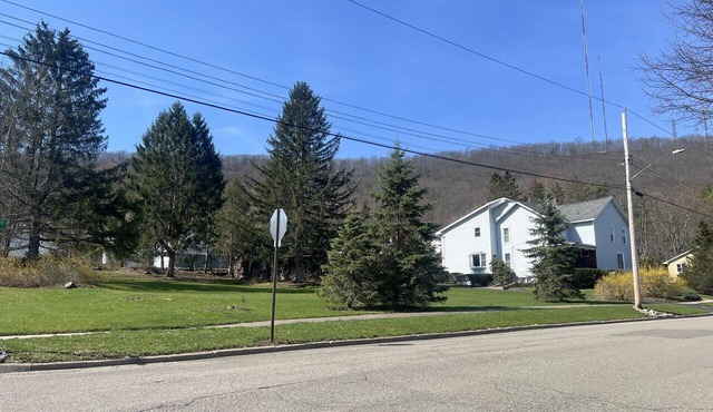 Serene 3-Bedroom/1-Bath Apartment in Corning on the Historic Southside Hill