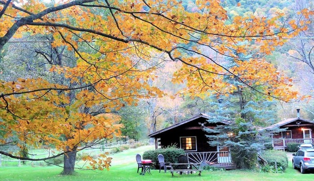 Simple Cabin Camping for Families in the Catskills of Upstate New York