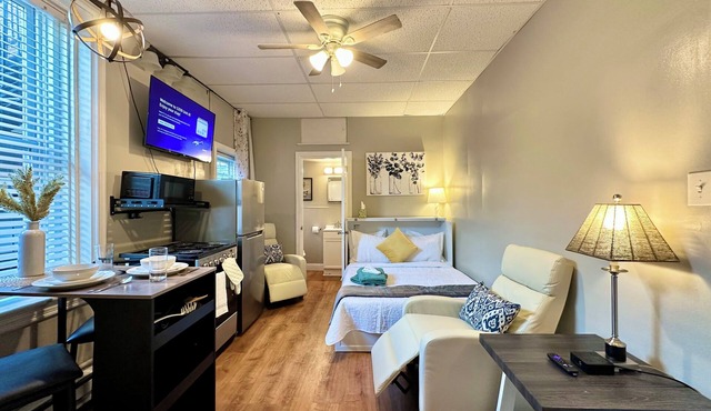 Spacious 3-bedroom apartment with AC, WiFi in charming Harrisburg