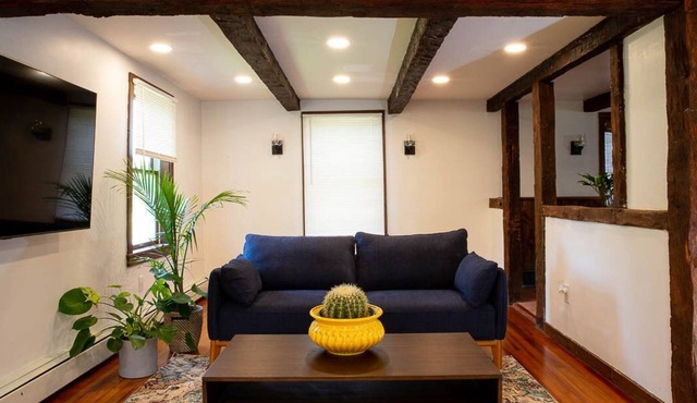 Spacious and relaxing retreat, - 90 min form NYC
