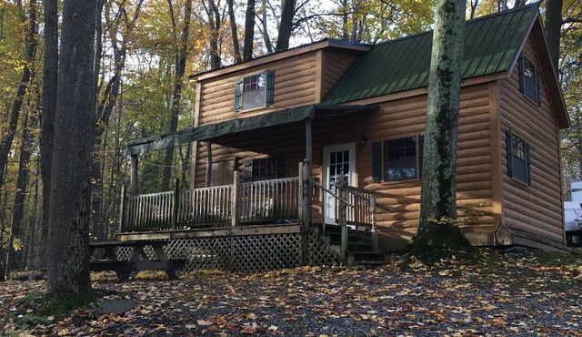 Spacious cabin perfect for romantic escapes and family vacations!