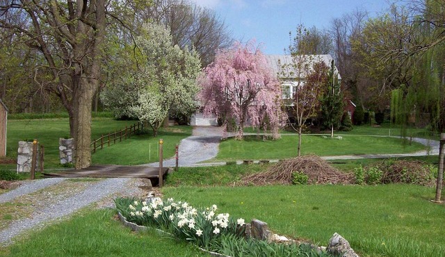 Spacious Cottage Rental with Creek Views near Harrisburg and Hershey, Pennsylvania