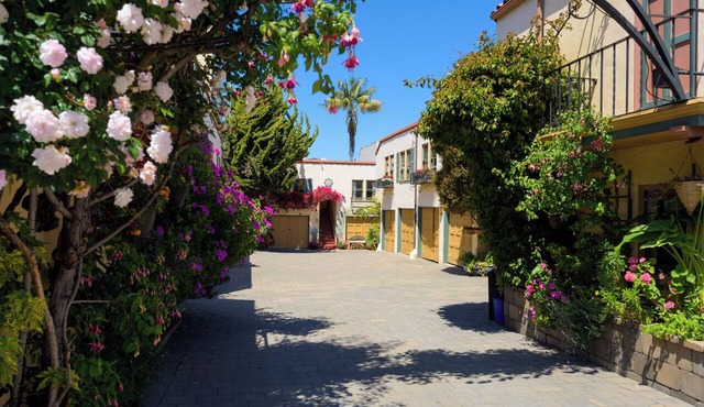 Street-Facing Dog-Friendly Queen Room with Kitchen, Free Parking & Wi-Fi