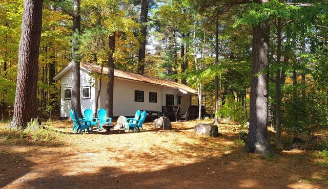 The Aspen Cabin