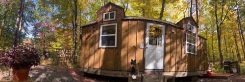 Tiny Cat Country Cabin