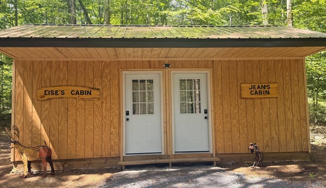 Two cabins in one space. Enjoy your own private space in the cozy woods. Cabin is divided into two separate rooms. Dog friendly