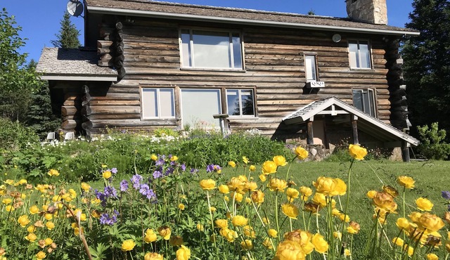 View! Secluded,Brief 10 minute drive to town, Family Friendly Log Home