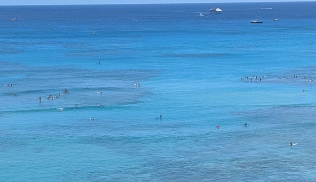 Waikiki's Premiere Ocean Front Hotel The Waikiki Beach Tower Location and Luxury