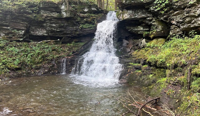 Waterfall View from Secluded 4 Bed Cabin in East Branch, NY with Mountain Views