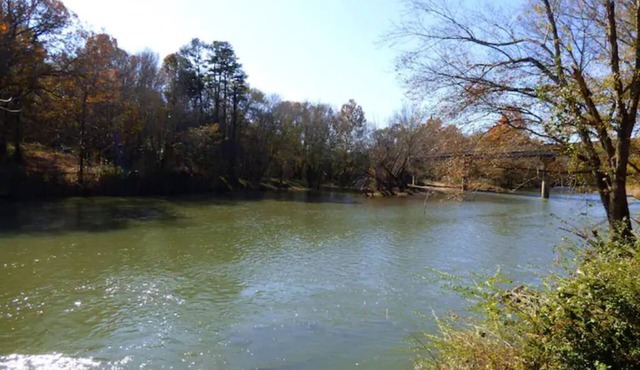 Whispering Oaks Cabin 13